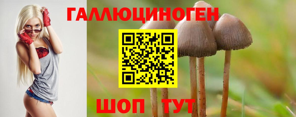 Псилоцибиновые грибы мицелий  Вход с VPN  Торжок 